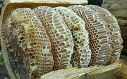 عسل باموم کاملا طبیعی وخالص