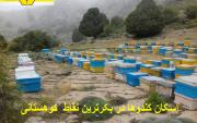 استقرار کندوها در نقاط بکر کوهستانی