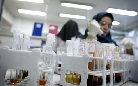 روش تشخیص عسل طبیعی و تقلبی