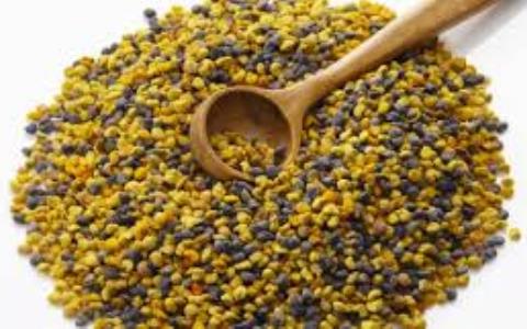 عناصر معدنی موجود در گرده گل زنبور عسل(pollen)