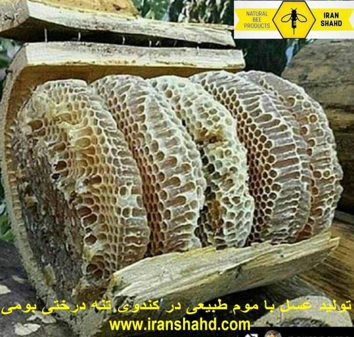 عسل باموم کاملا طبیعی وخالص