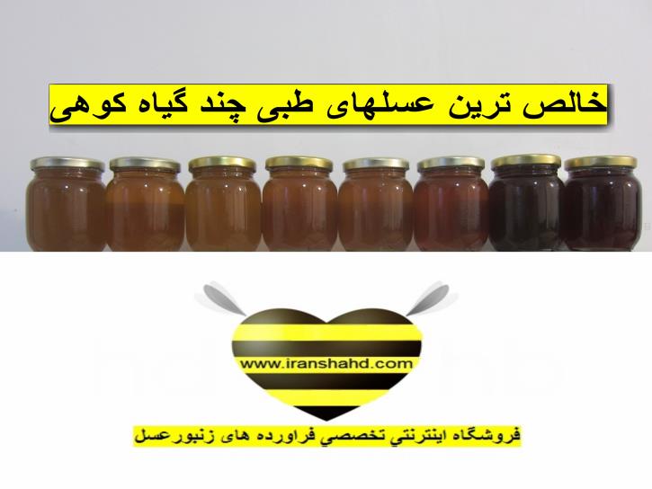 گلچینی از خالص ترین عسلهای ایران