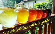 گلچینی از عسلهای دارویی ایران