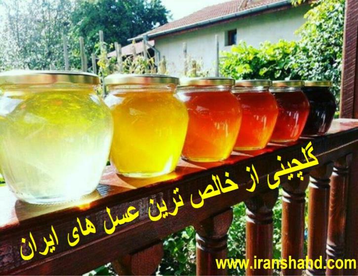 گلچینی از عسلهای دارویی ایران