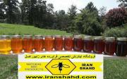 گلچینی از عسلهای کوهی ایران